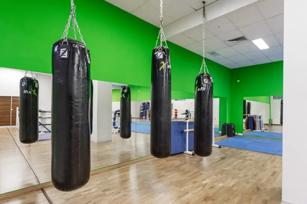 Зона единоборств