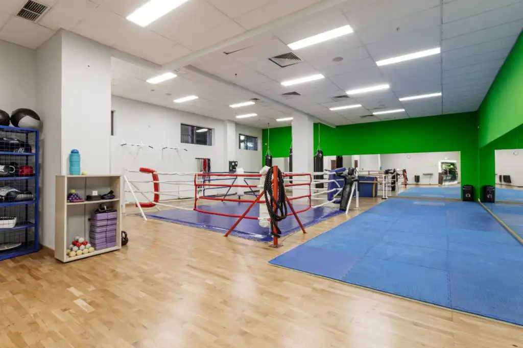 Зона единоборств