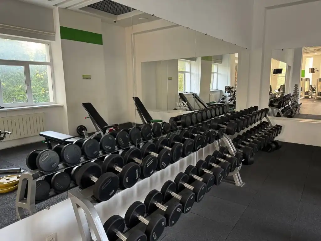 Без названия