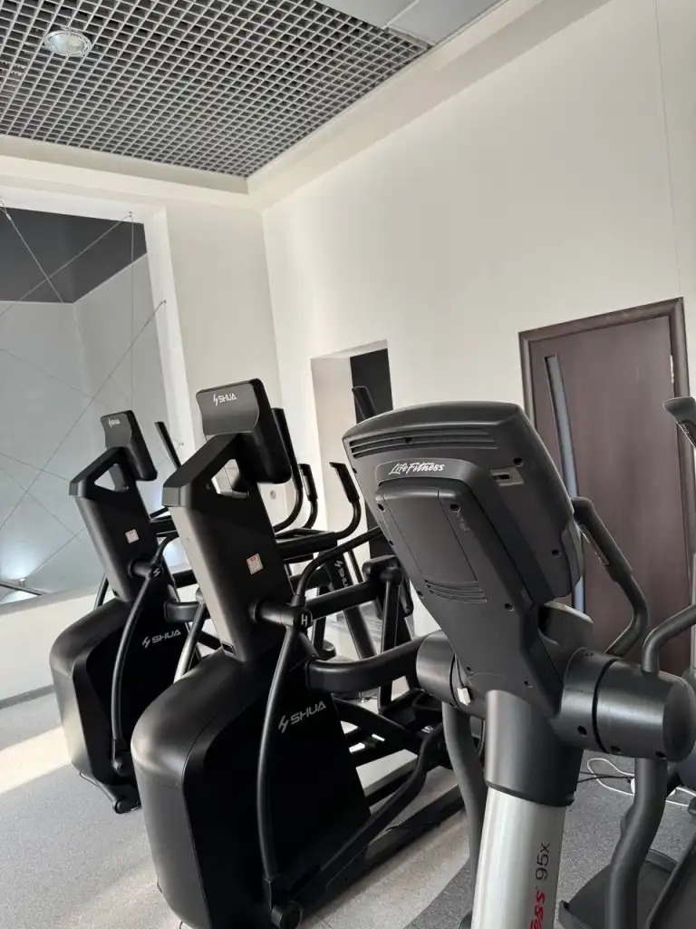 Без названия