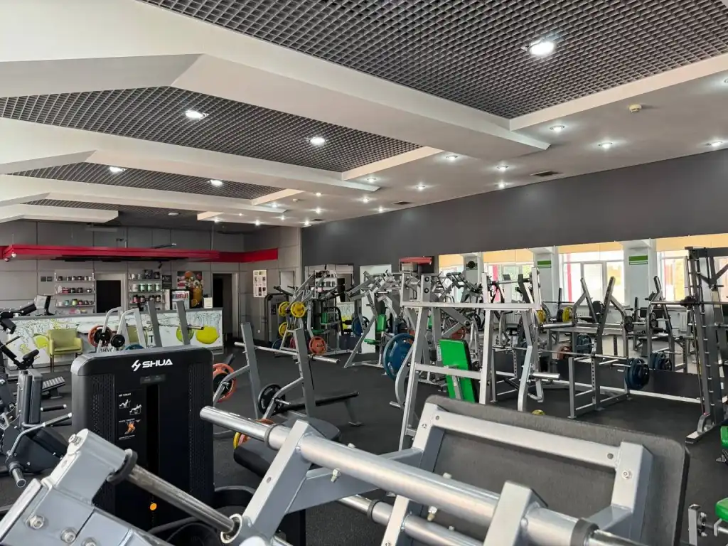 Без названия